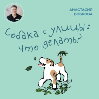 Обложка книги «Собака с улицы: что делать?»