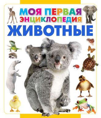 Обложка книги «Животные»