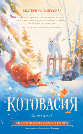 Обложка книги «Котовасия. Дорога домой»