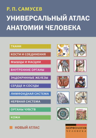 Обложка книги «Универсальный атлас анатомии человека»