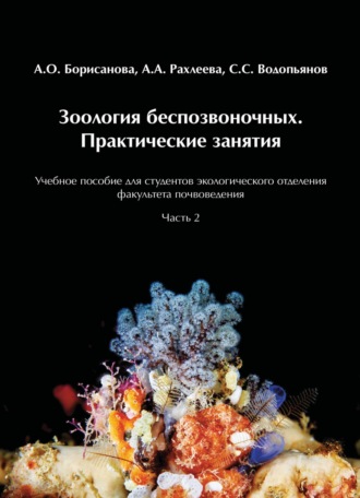 Обложка книги «Зоология беспозвоночных. Практические занятия. Часть 2»