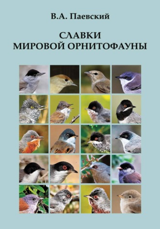 Обложка книги «Славки мировой орнитофауны»
