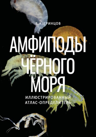 Обложка книги «Амфиподы Чёрного моря. Иллюстрированный атлас-определитель»