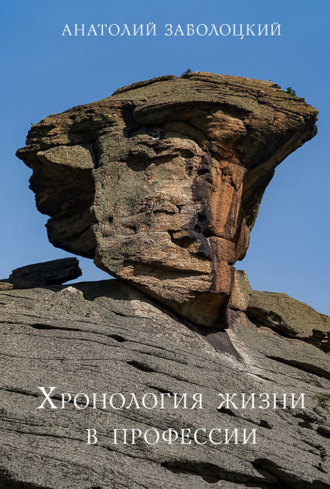 Обложка книги «Хронология жизни в профессии»