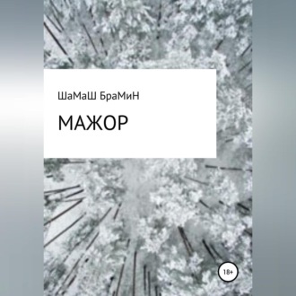 Обложка книги «Мажор»