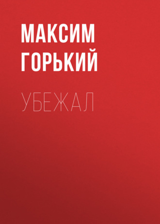 Обложка книги «Убежал»