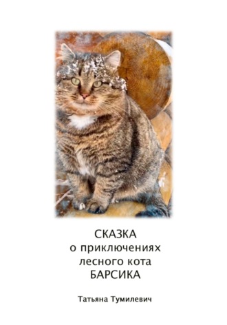 Обложка книги «Сказка о приключениях лесного кота Барсика»