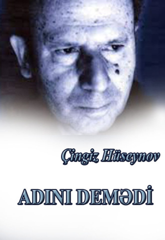Обложка книги «Adını demədi»