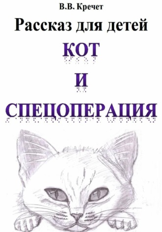 Обложка книги «Кот и спецоперация»