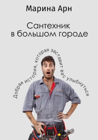 Обложка книги «Сантехник в большом городе»