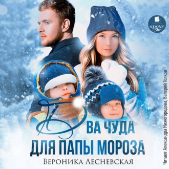 Обложка книги «Два чуда для Папы Мороза»