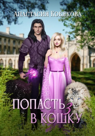 Обложка книги «Попасть в кошку 3»