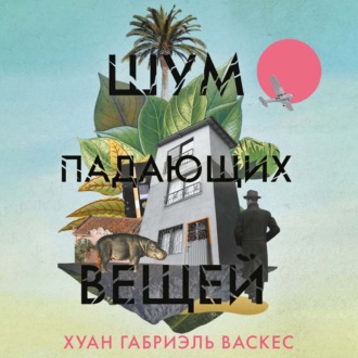 Обложка книги «Шум падающих вещей»