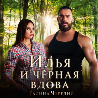 Обложка книги «Илья и черная вдова»