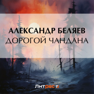 Обложка книги «Дорогой Чандана»