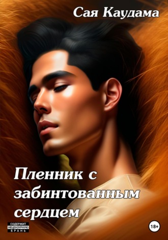 Обложка книги «Пленник с забинтованным сердцем»