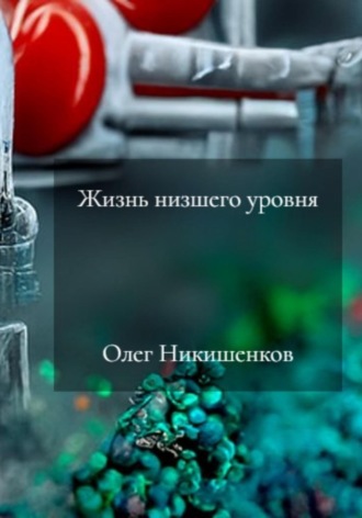 Обложка книги «Жизнь низшего уровня»