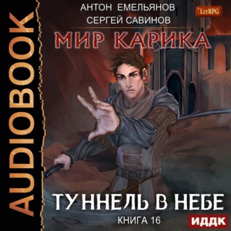Обложка книги «Туннель в небе»