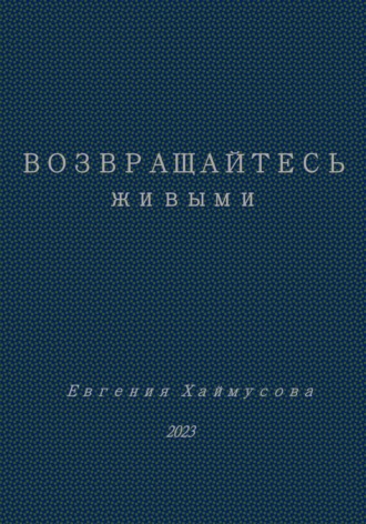 Обложка книги «Возвращайтесь живыми»