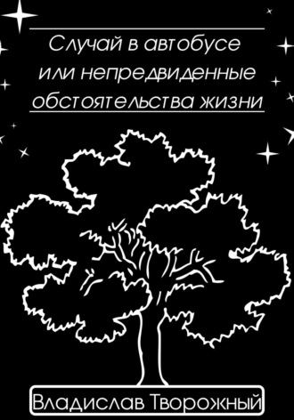 Обложка книги «Случай в автобусе, или Непредвиденные обстоятельства жизни»