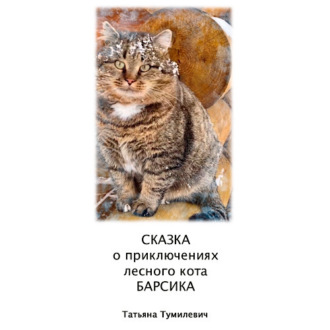 Обложка книги «Сказка о приключениях лесного кота Барсика»