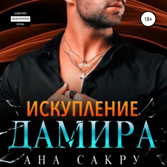 Обложка книги «Искупление Дамира»