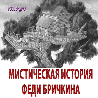 Обложка книги «Мистическая история Феди Бричкина»