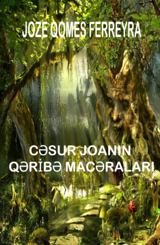 Обложка книги «Cəsur Joananın qəribə macəraları»