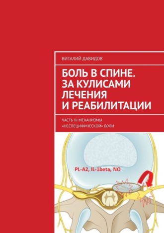 Обложка книги «Боль в спине. За кулисами лечения и реабилитации. Часть III. Механизмы «неспецифической» боли»