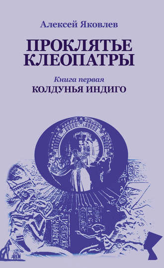 Обложка книги «Колдунья-индиго»
