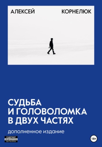 Обложка книги «Судьба и головоломка 2.0»