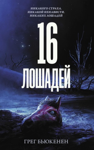 Обложка книги «16 лошадей»