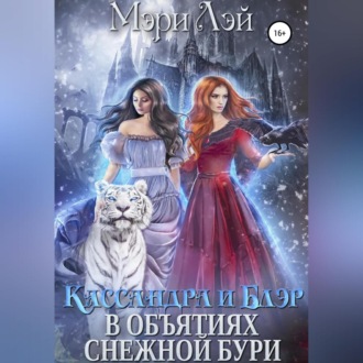Обложка книги «Кассандра и Блэр в объятиях снежной бури»