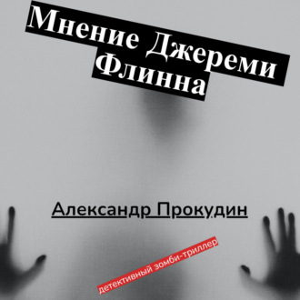 Обложка книги «Мнение Джереми Флинна»