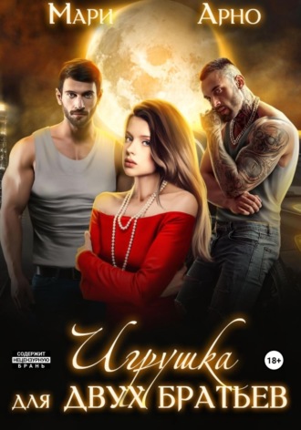 Обложка книги «Игрушка для двух братьев»