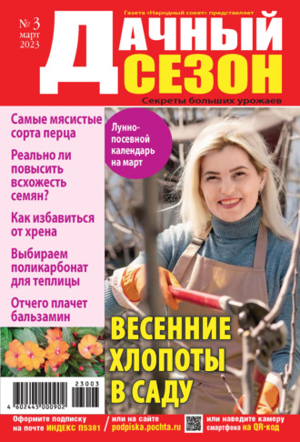Обложка книги «Дачный сезон №03/2023»
