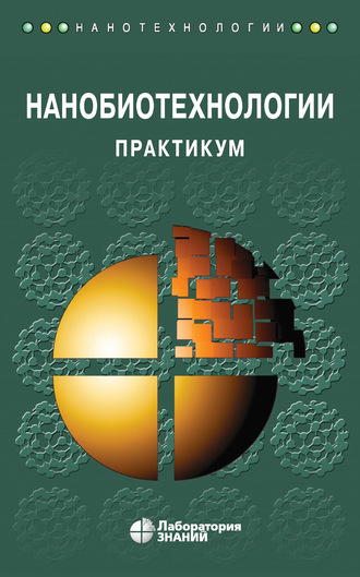 Андрей Борисович Рубин. Нанобиотехнологии. Практикум