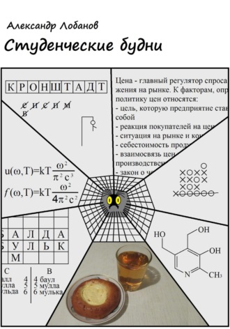 Александр Олегович Лобанов. Студенческие будни