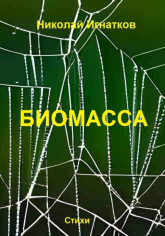 Обложка книги «Биомасса»