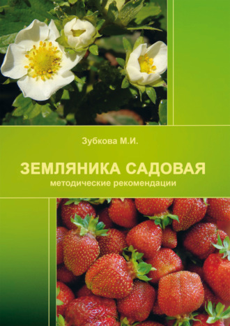 Обложка книги «Земляника садовая (методические рекомендации)»