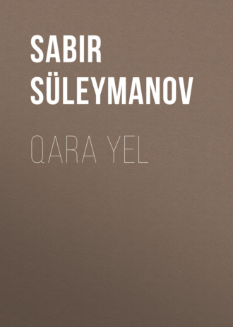 Обложка книги «Qara yel»