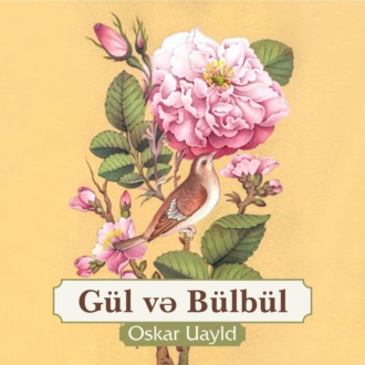 Обложка книги «Gül və bülbül»