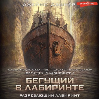 Обложка книги «Разрезающий лабиринт»