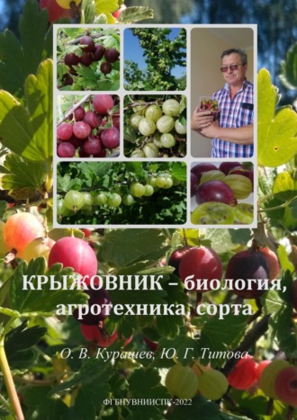 Обложка книги «Крыжовник – биология, агротехника, сорта»
