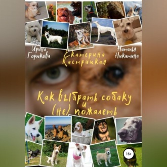 Обложка книги «Как выбрать собаку и (не) пожалеть»