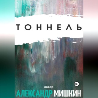 Обложка книги «Тоннель»