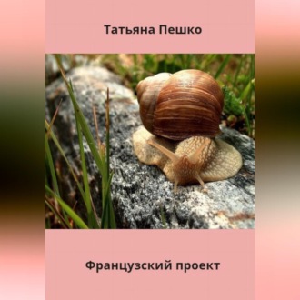 Обложка книги «Французский проект»