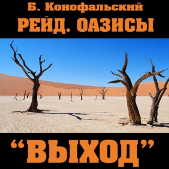 Обложка книги «Рейд. Оазисы. Книга 3. «Выход»»