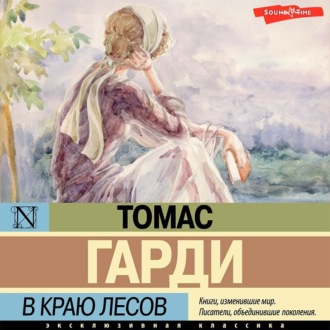 Обложка книги «В краю лесов»