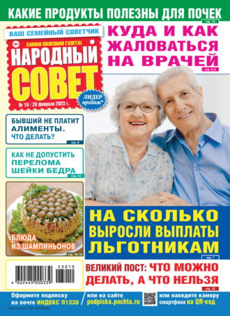 Обложка книги «Народный совет №10/2023»